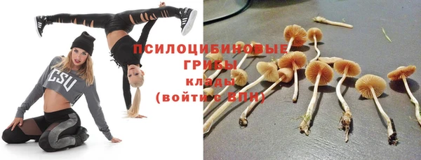 тгк Зеленокумск